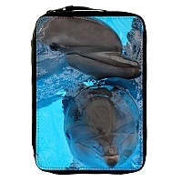   Animals Theme 330748