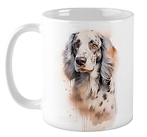  English Setter / 