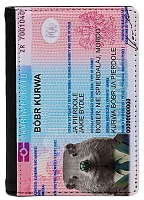    Bobr Kurwa /  