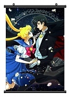   Bishoujo Senshi Sailor Moon 336315