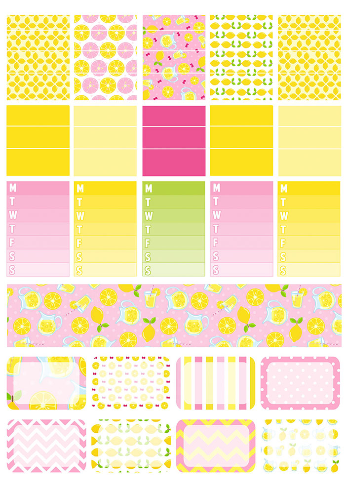 ������� ��� ����������� No.8 �����