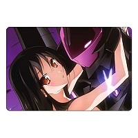    Accel World 310417