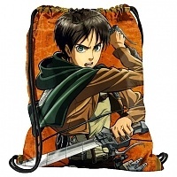    Shingeki no Kyojin 302359