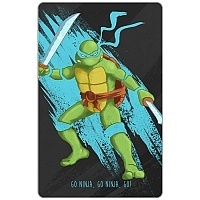   Cartoon Frenzy: TMNT - Leonardo