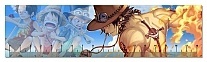  One Piece 349623