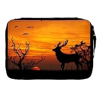   Animals Theme 330751