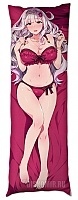   Idol Master Takane Shijou  Haruka Amami
