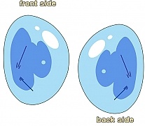  That Time I Got Reincarnated as a Slime PW71870