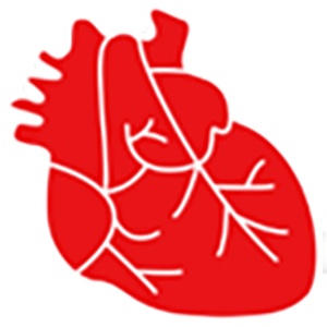 ������ ���������� ������ 14-33