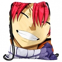    Fairy Tail 302298