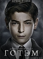   Gotham Bruce Wayne