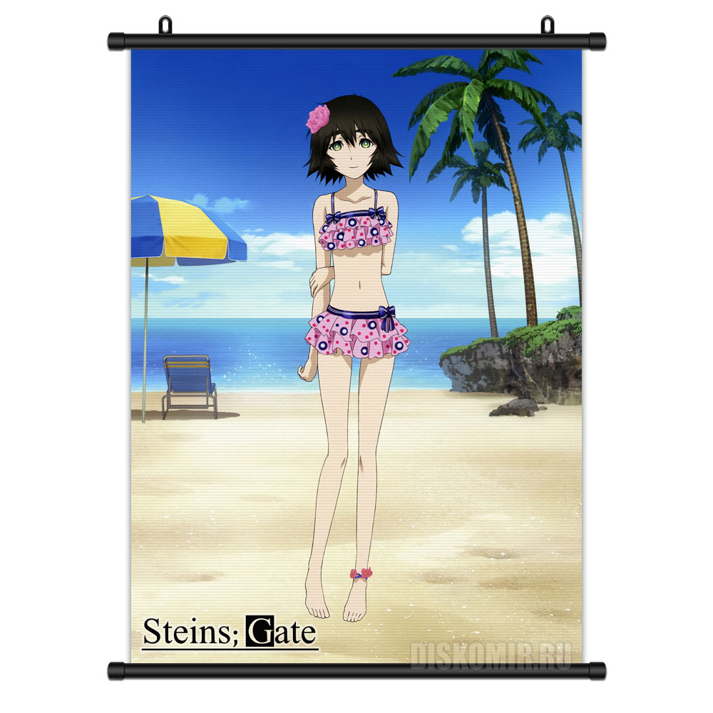               / Steins Gate