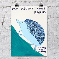   My Ascent was Rapid /   