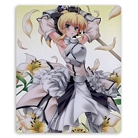    Fate/stay night 34839