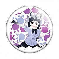 - - Raccoon