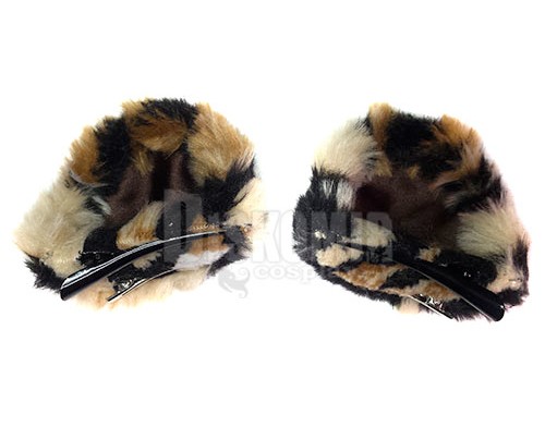 ���������� ������� ���� ���� �������� � ���������� (������� ���) �� ����� � ����� 