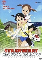    ( ) TV DVD