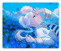     Frieren: Beyond Journey's End / 