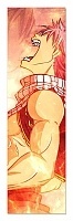    Fairy Tail 