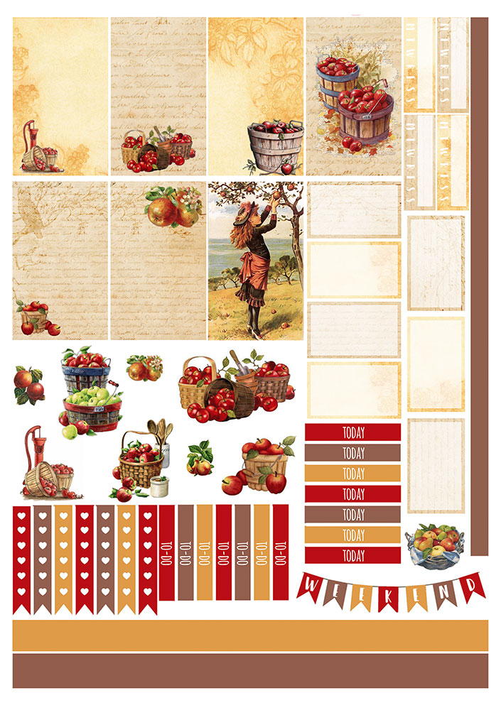 �������� ��� ����������� No.19 ������� ������