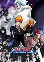  :    ( ) DVD