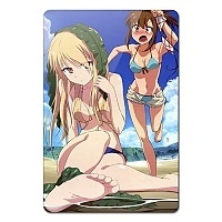    Sakurasou no Pet na Kanojo 350258
