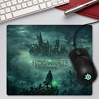     Hogwarts Legacy