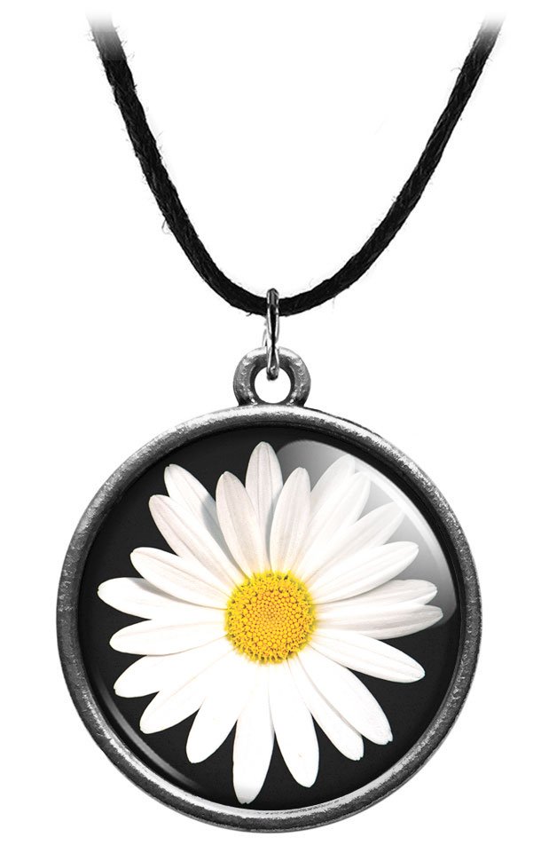 ���������� ������� ����� "�������" �� ����� � ����� 