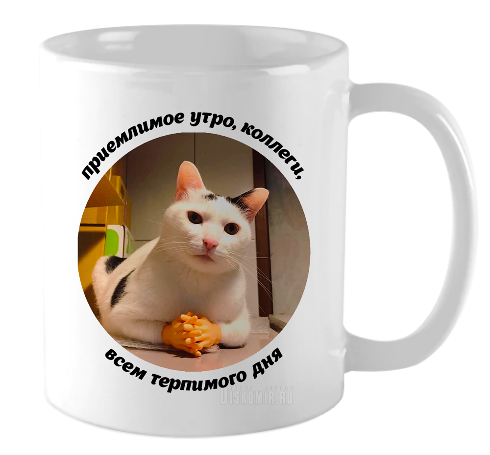 ���������� ������� ������������ ������ �� ����� ���� / ������� / Mem / Meme