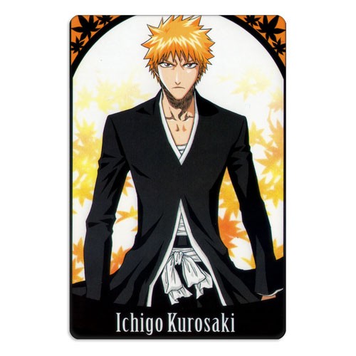 ���������� ������� ������ ��������� ������������� ���� No.17 �� ����� � ����� ���� / Bleach