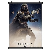  Destiny Hunter