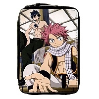     Fairy Tail