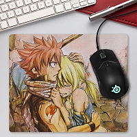    Fairy Tail 310054