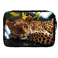   Animals Theme 330743