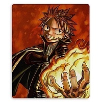    Fairy Tail 310060
