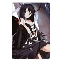    Accel World 310411