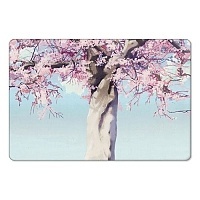    Byousoku 5 Centimeter 310450