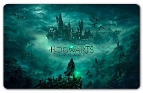   Hogwarts Legacy