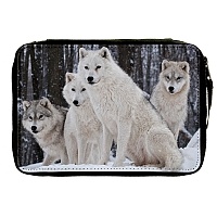   Animals Theme 330744
