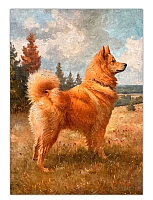     / 