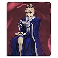    Fate/stay night 308257
