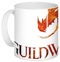  Guild Wars 2 340017