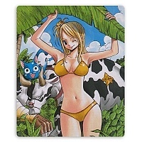    Fairy Tail 310055