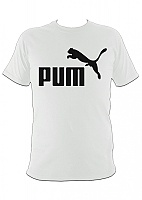  Pum
