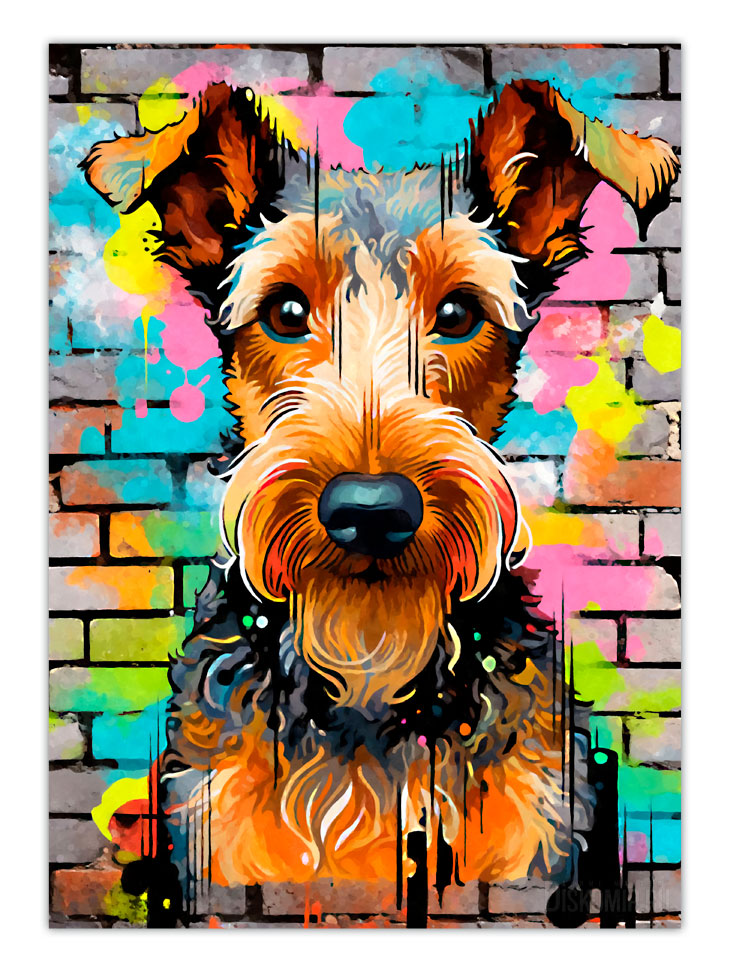 ������ �������� ������������ / ��������