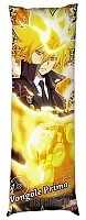   Katekyo Hitman Reborn! Giotto  