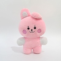   BTS star COOKY (20)