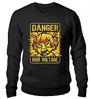  ,   - DANGER  