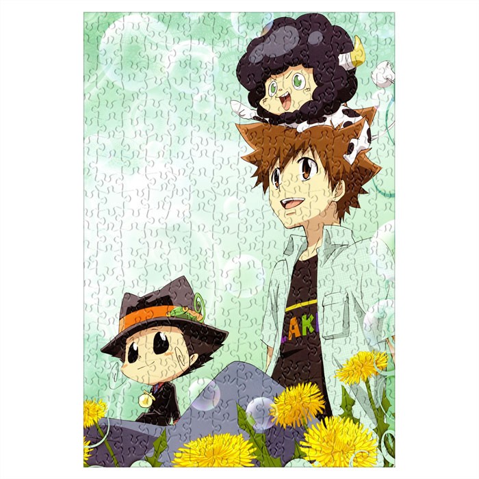 ���� Katekyo Hitman Reborn (������ A3, 252 ������) 67346