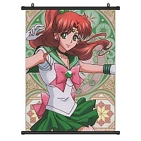   Sailor Moon Sailor Jupiter
